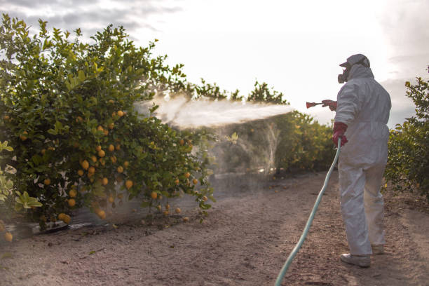 Reliable Adrian, MN Pest Control Solutions