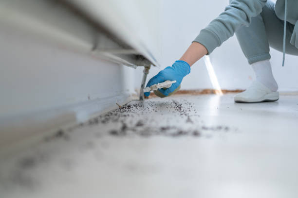 Best Pest Removal Services  in Adrian, MN